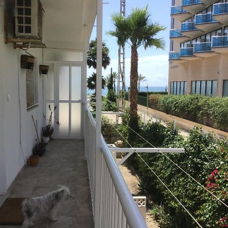 Carpe Diem Lägenhet El Albir Exteriör bild